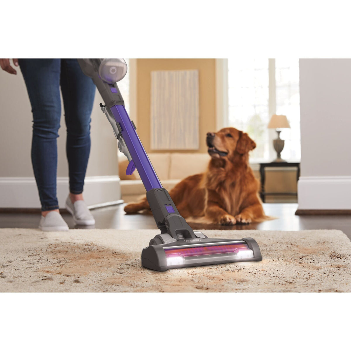 POWERSERIES? Extreme? Cordless Pet Hair Stick Vacuum Cleaner, Purple